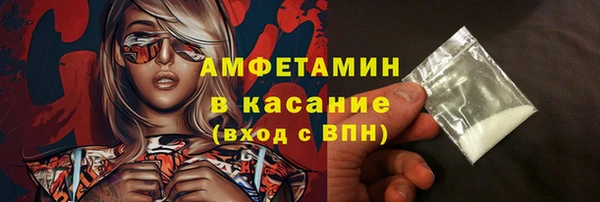 прущие грибы Балахна