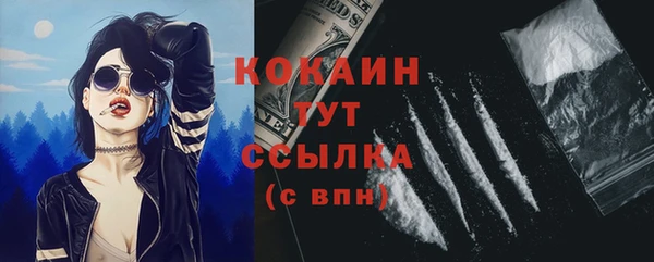 прущие грибы Балахна
