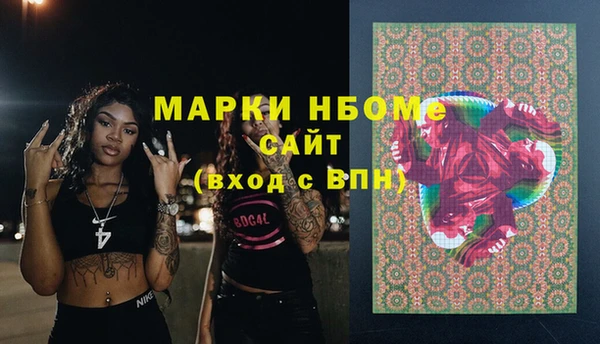 прущие грибы Балахна